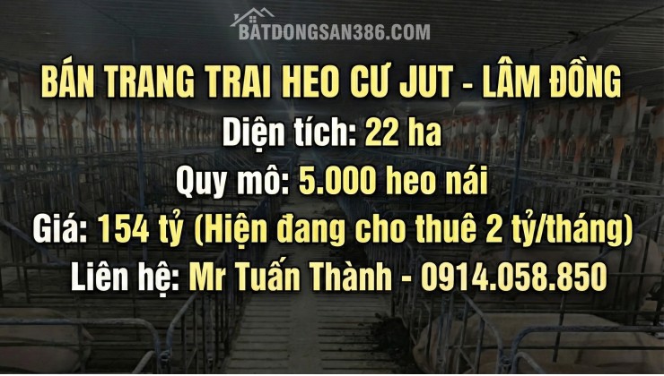 Thu 2 Tỷ/Tháng Từ Trại Heo 22ha